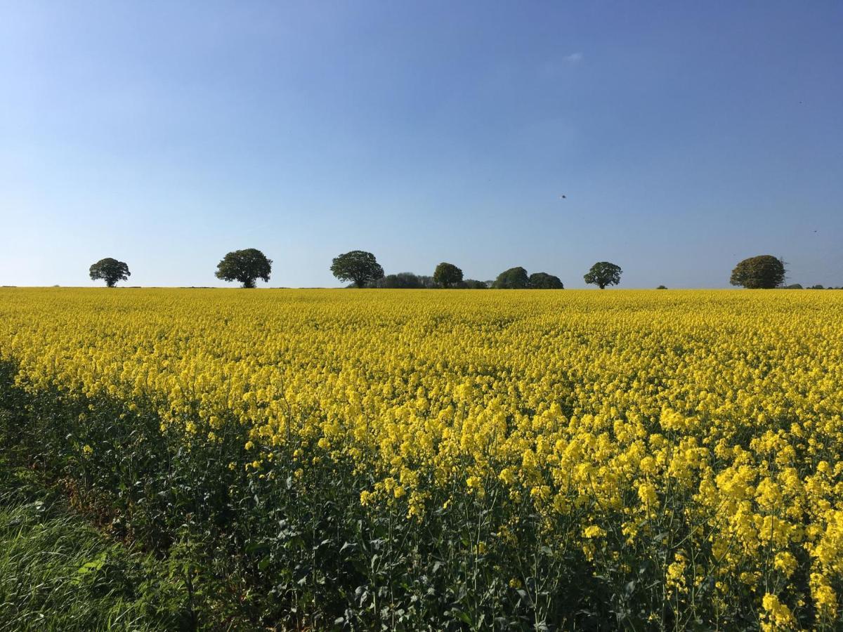 شقة Woodcock Farm بريستول المظهر الخارجي الصورة