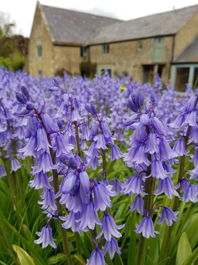 شقة Woodcock Farm بريستول المظهر الخارجي الصورة