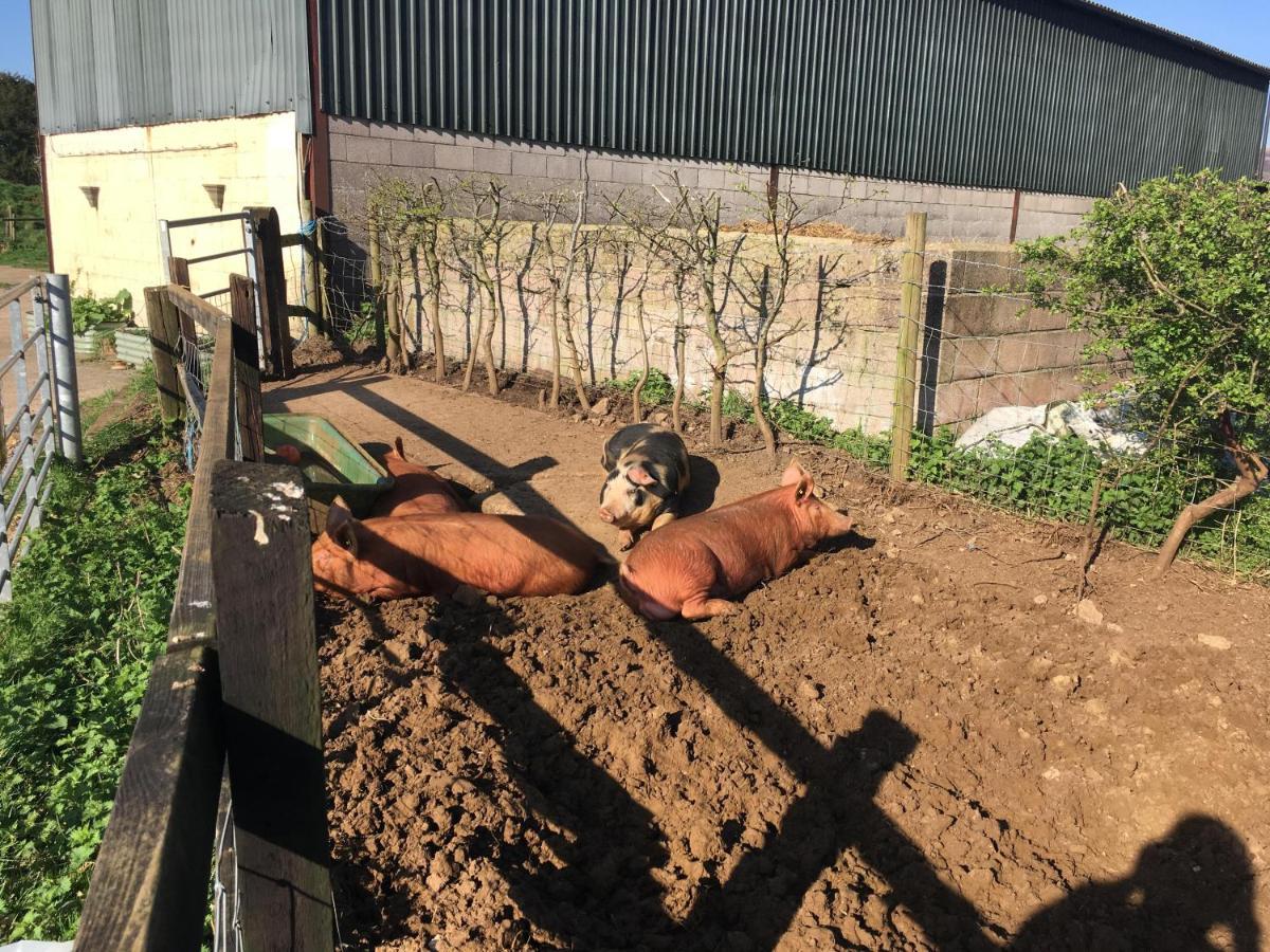 شقة Woodcock Farm بريستول المظهر الخارجي الصورة